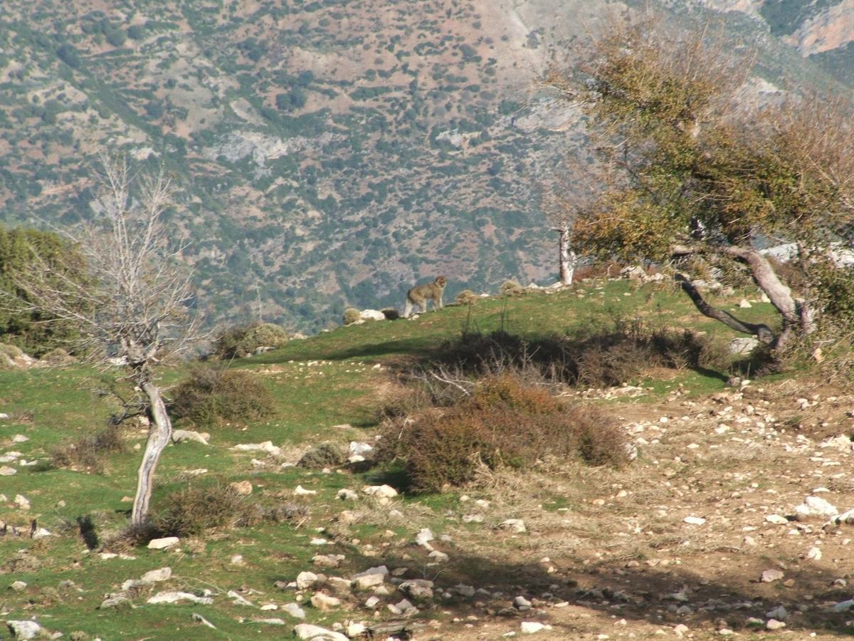 הוסטל Taghzoute Caiat Lounge Refuge מראה חיצוני תמונה
